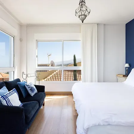 Syrah * Puerto de la Cruz (Tenerife)