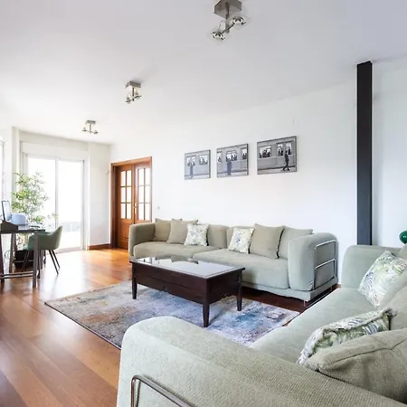 Syrah * Puerto de la Cruz (Tenerife)