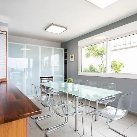 Syrah * Puerto de la Cruz (Tenerife)