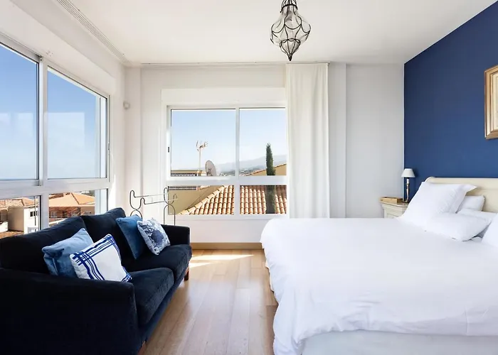 Syrah * Puerto de la Cruz (Tenerife)